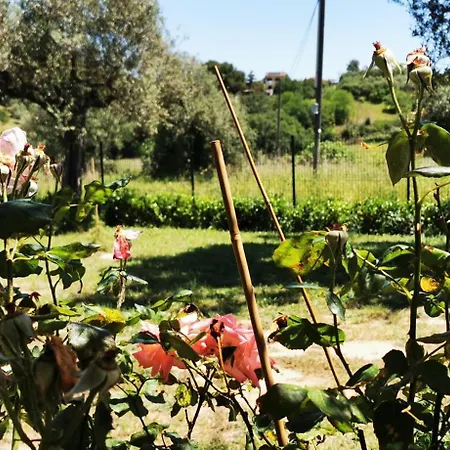 Le Querce * Spoltore