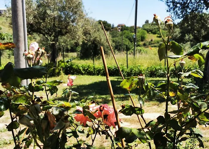 Le Querce * Spoltore